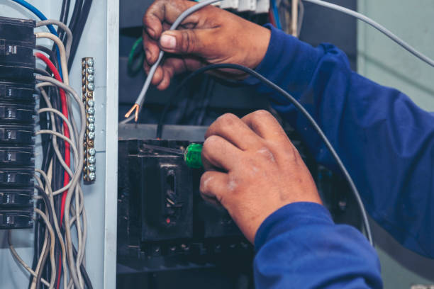 Best Electrical System Inspection  in Passapatanzy, VA